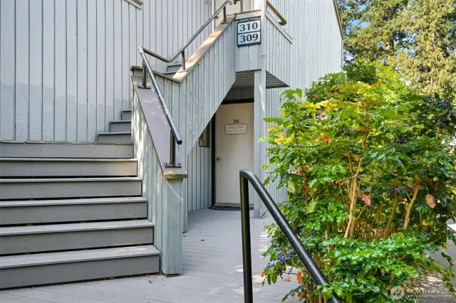 Entry under stairs