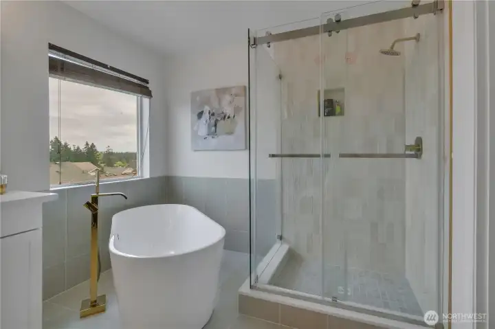 New Stand alone tub and walk in shower