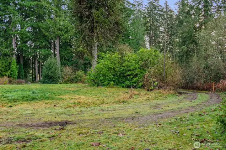 Standing along West side property line looking East.