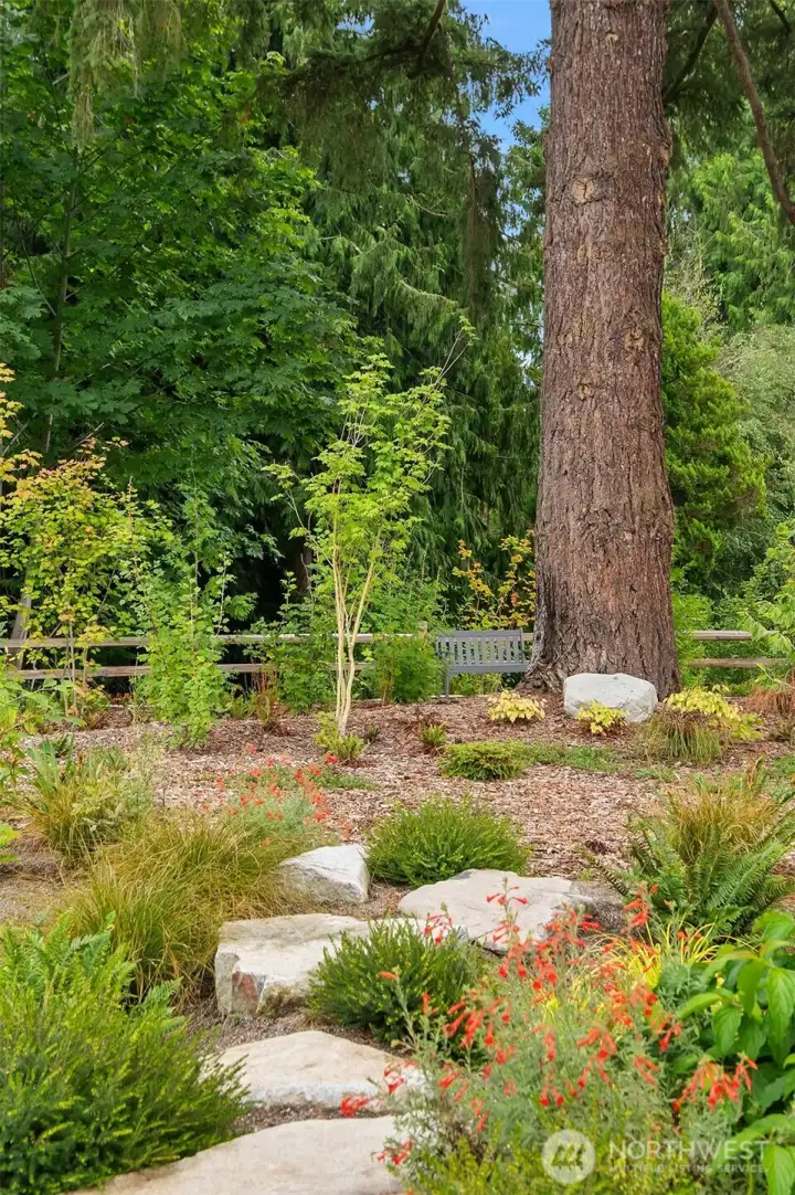 Stepping stones lead through the gardens with 4 seasons of interest.  A bench provides just the spot to sit a spell.