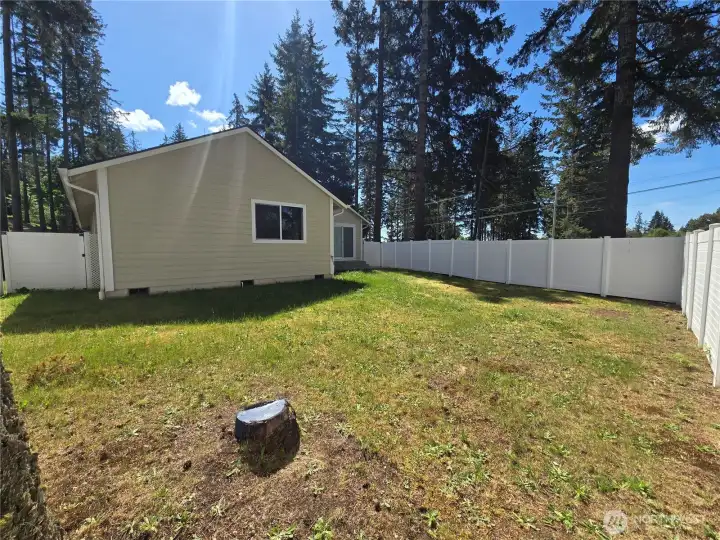 Backyard