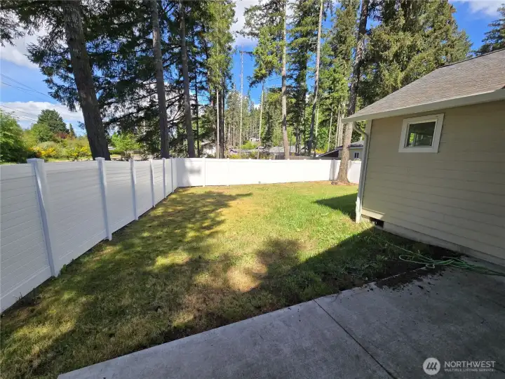 Backyard