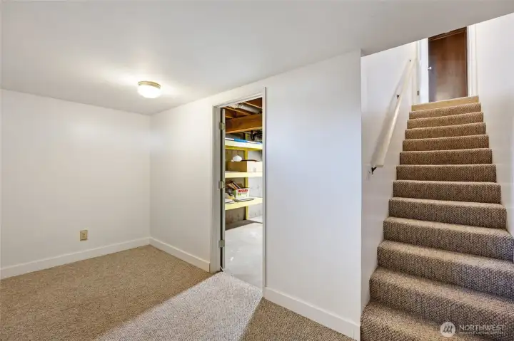 Basement Storage