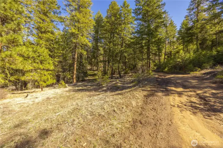 Nice flat area by road. Could be good for building or parking an RV. Nice flat area by road. Could be good for building or parking an RV.