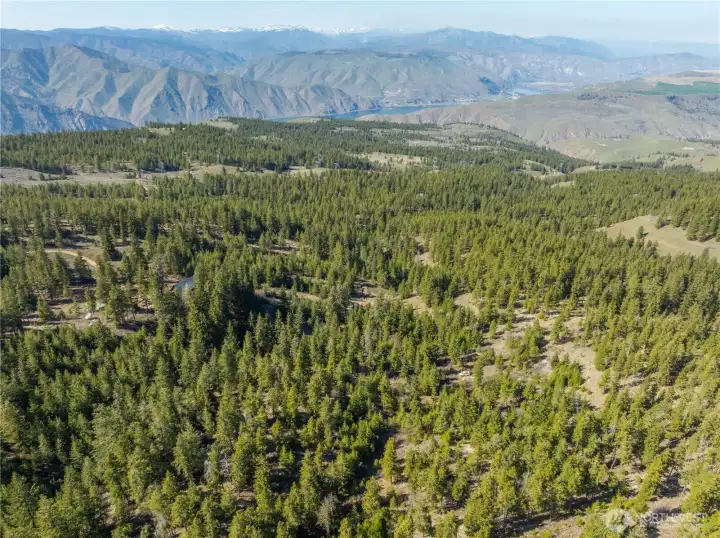 Columbia River in background Columbia River in background