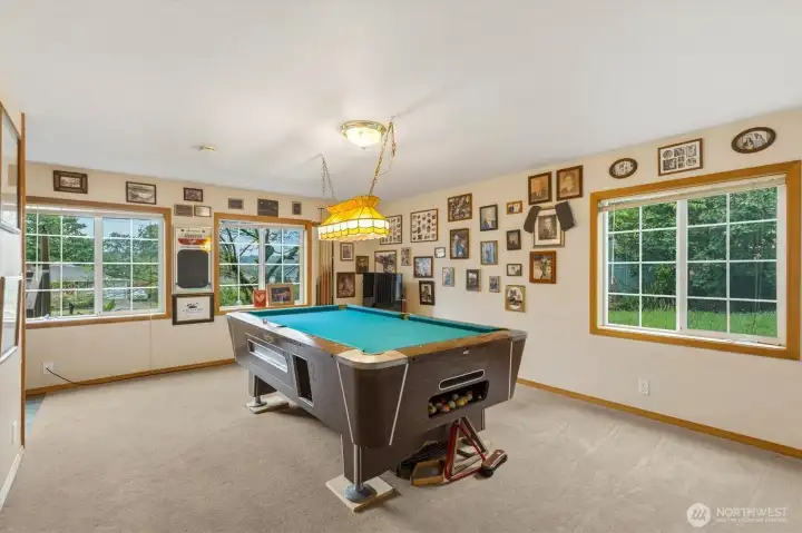 Downstairs rec room