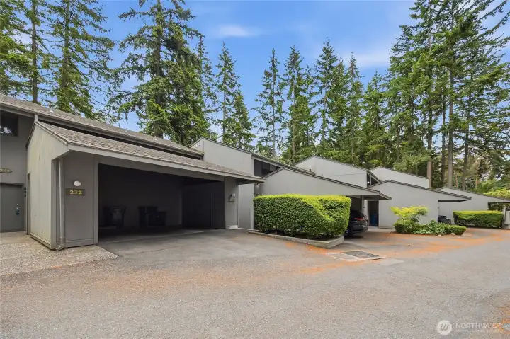Original Photo- Unit 252. Carport Space on the Right with Storage.