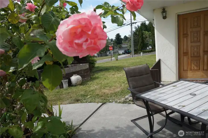 patio