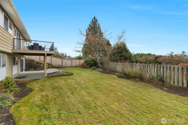 Spacious back yard - professionally landscaped.