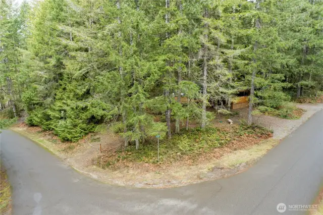 The surrounding trees provide year-round greenery and a serene forest backdrop. This location offers a peaceful escape while still being part of the Lake Cushman community.