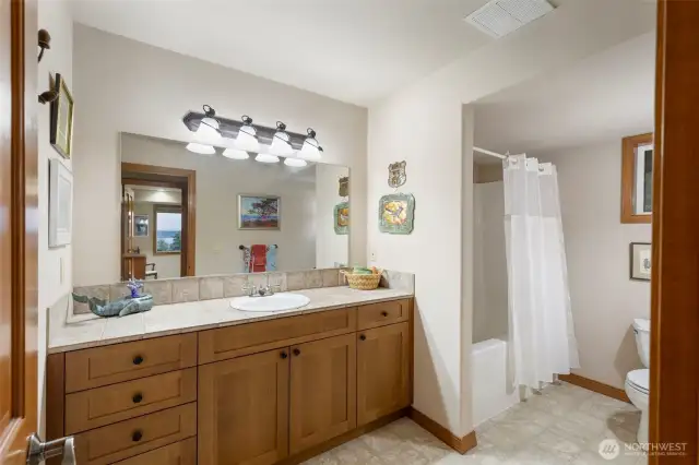 Lower level Full Bathroom.