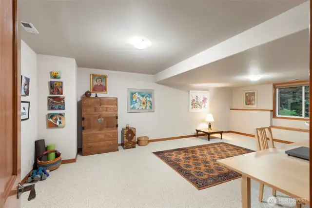 Lower level "Flex" room.  Great spot for a home gym.