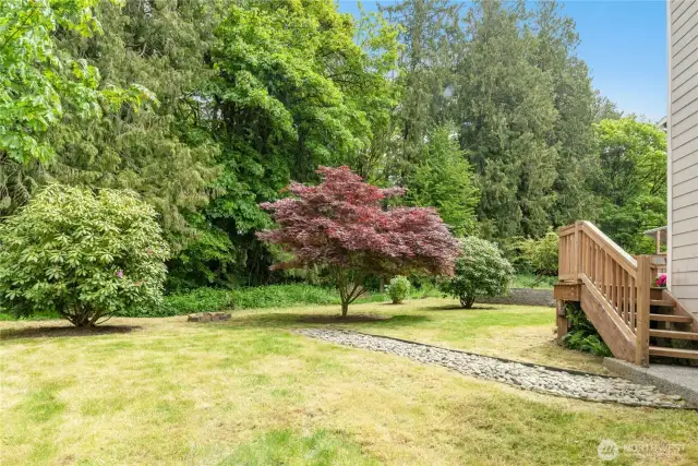 Large backyard that abuts private greenbelt