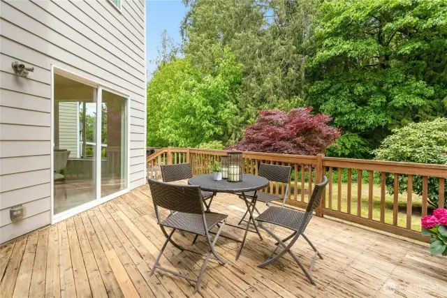 Large Outdoor Entertaining Deck