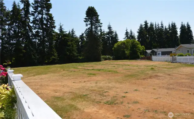 greenspace behind home