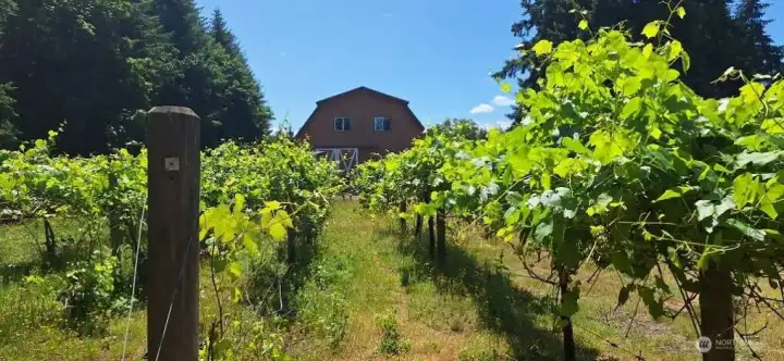 Picture says it all.