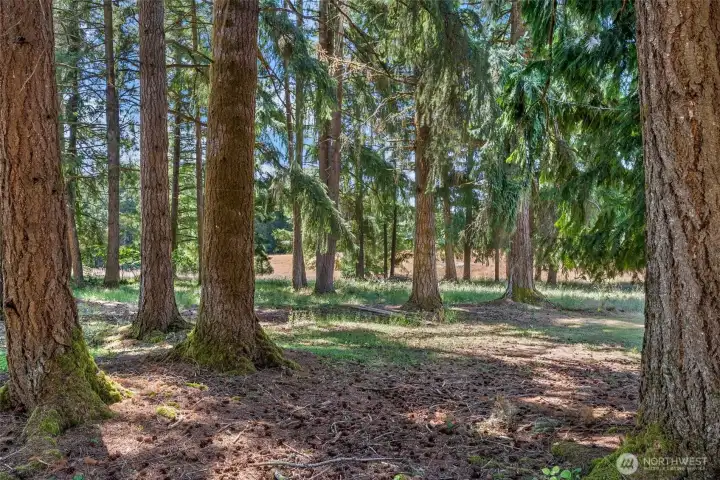 Typical stand quality on this property