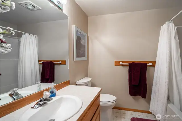Lower floor guest bath.