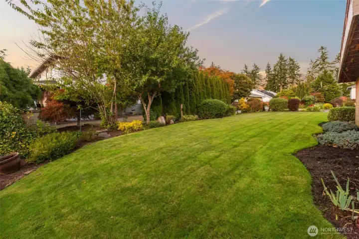 Backyard looking east
