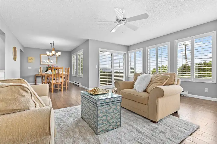 So many windows and natural light.