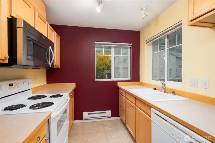 Windows lets in tons of light