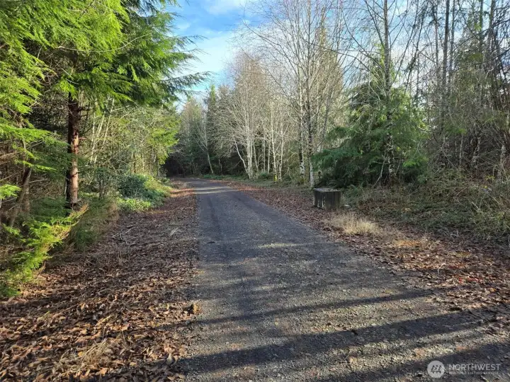 Existing roadway coming into the property.
