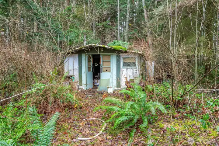 Another shed with potential for restoration.
