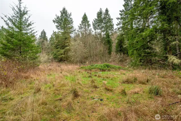 Lightly treed, level and ready for your acreage home.