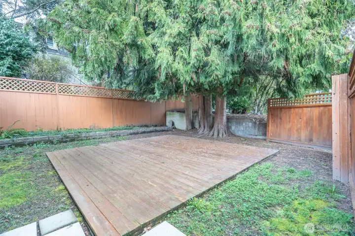 Front Deck for Sunny Days