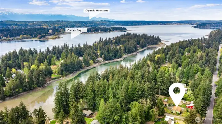 This home is minutes from Phinney Bay, It provides quick access to Hwy 3 & 16. Close to the shipyard.