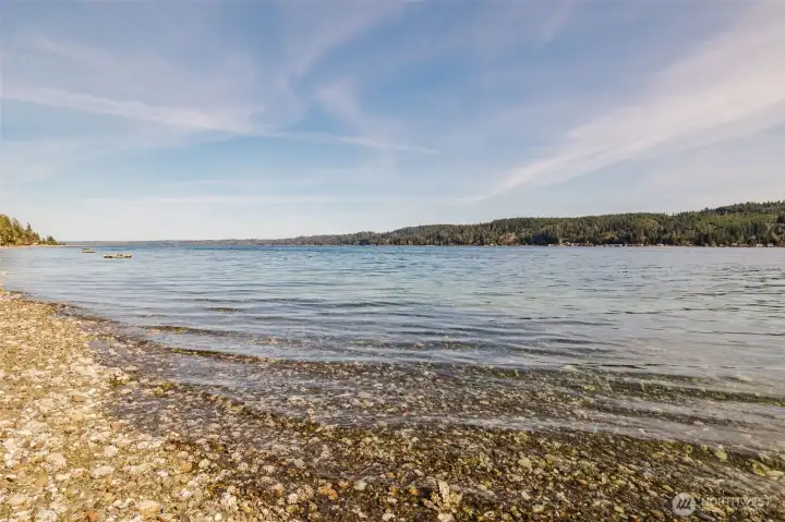 Oysters and clams can be found as the tide goes out.