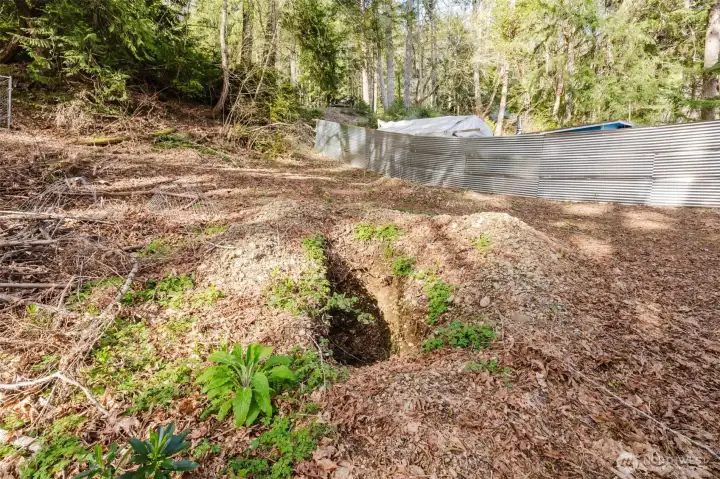 One of 2 perk holes for septic.