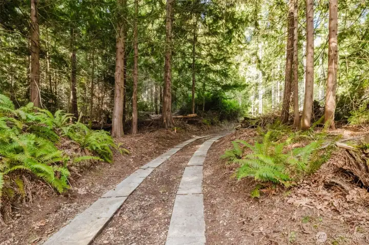 Easement driveway to upper neighbor's property. Peg halfway up on left is the edge of this property (approx 50' wide towards next marker) but continues uphill towards the west end of the property.