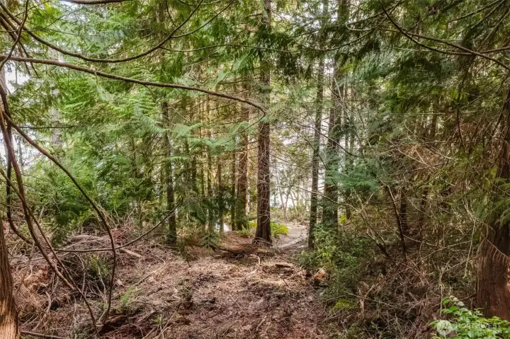 Upper west side of the property looking towards North Shore.