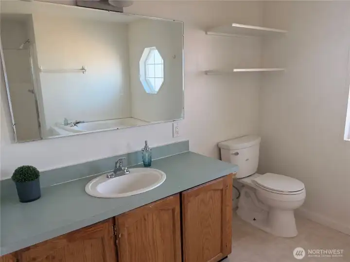 Master Bath Shower and Tub