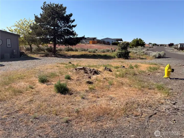 Large corner lot