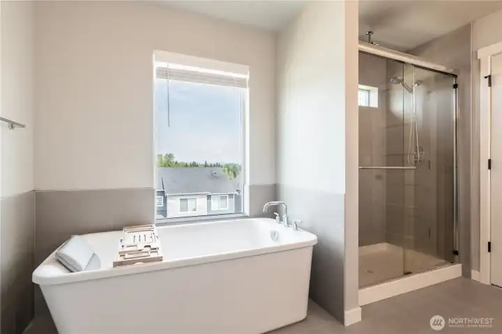 Primary Suite soaking tub with separate shower