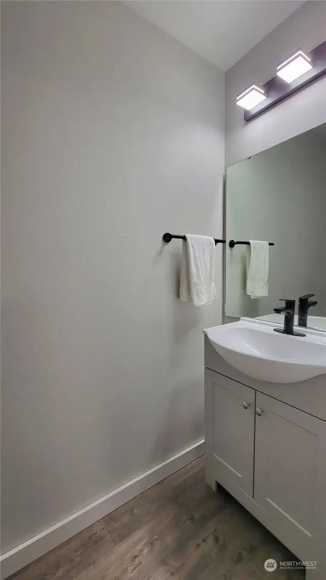 Lower Level bathroom