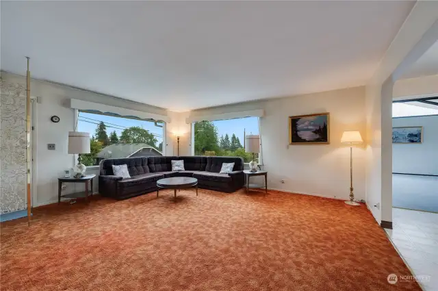 Nice bright living room with view windows