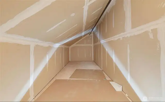 Extra Attic Storage!