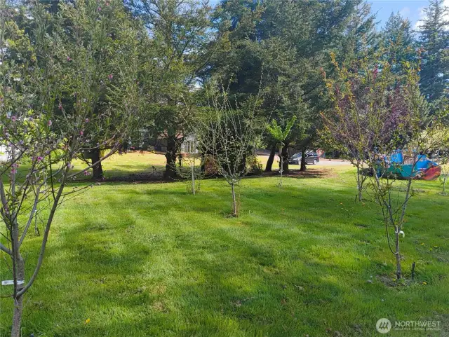 Small orchard at south end of property offers more than 25 varietals of fruit!