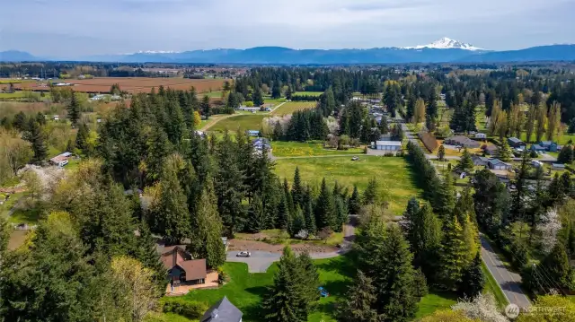A drone shot showing main house (center left) and property surrounded by trees, including a small orchard trees offers more than 25 varietals of fruit! This is a lovely spot in the mid-county, with easy access to Ferndale and Bellingham.