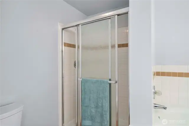 Here is the separate primary suite shower.