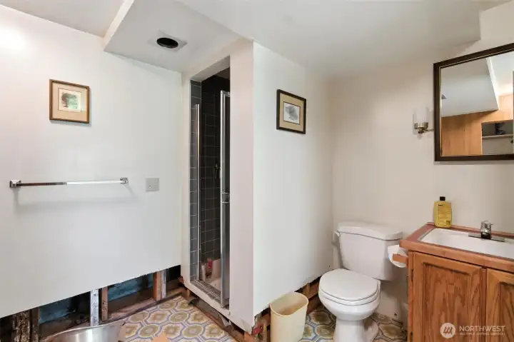 Basement Bathroom