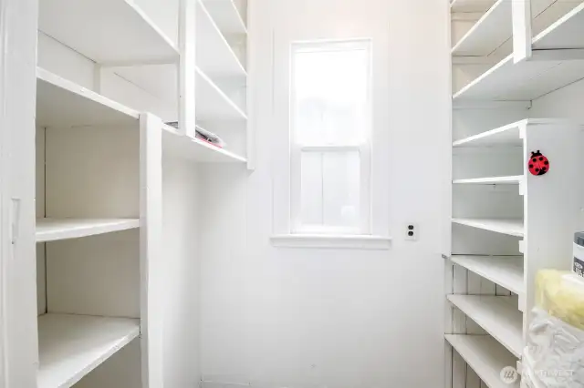 Walk-in Pantry with built in shelves