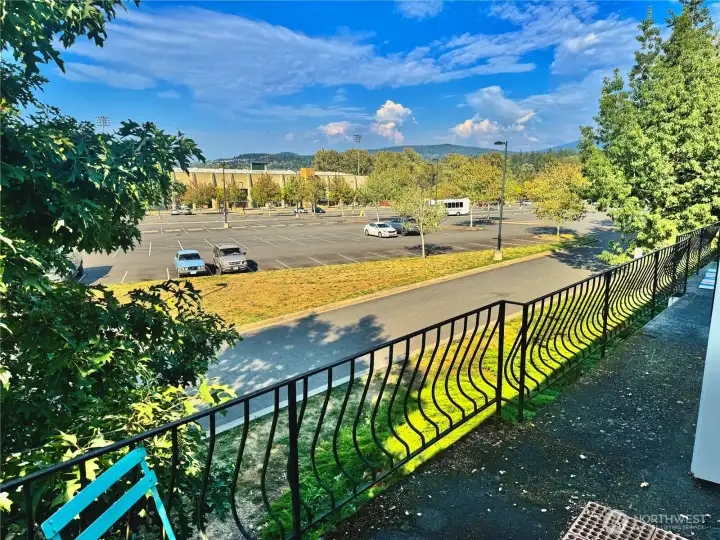 View from the patio