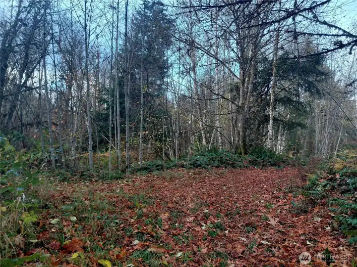 Potential building site