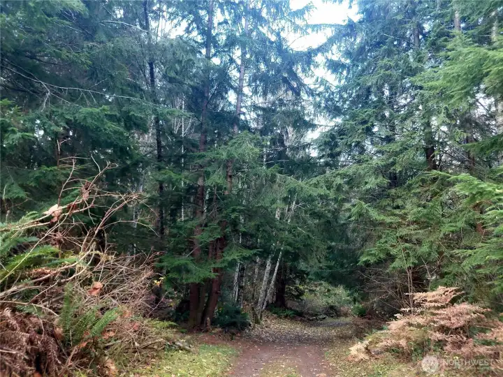 Road goes through property