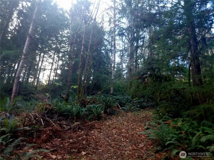 Easy walking to the top of the property