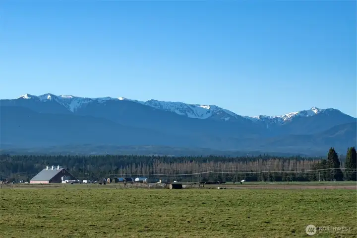 Panoramic Olympic Mountain Views